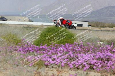 media/Feb-04-2023-SoCal Trackdays (Sat) [[8a776bf2c3]]/Turn 15 Inside Blooming (1050am)/